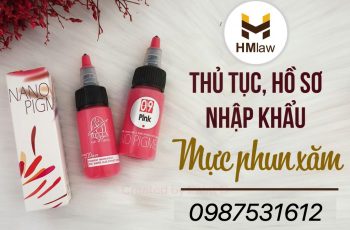 THỦ TỤC, HỒ SƠ NHẬP KHẨU MỰC PHUN XĂM