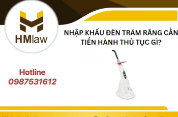 NHẬP KHẨU ĐÈN TRÁM RĂNG CẦN TIẾN HÀNH THỦ TỤC GÌ?